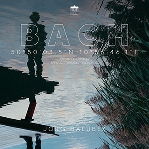 Bach Johann Sebastian - Organ Landscapes - Arnstadt, Brandi i gruppen CD / Klassiskt hos Bengans Skivbutik AB (5514281)