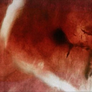 Angles & Elle-Kari With Strings - The Death Of Kalypso i gruppen ÖVRIGT / Kommande produkter - 10 procent hos Bengans Skivbutik AB (5514471)