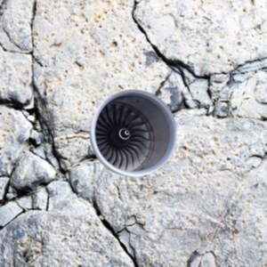 Babyxxan - In- Tran - Situ i gruppen ÖVRIGT / Övrigt / aub hos Bengans Skivbutik AB (5514587)