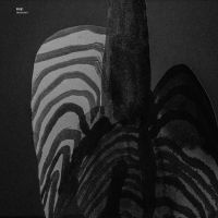 Fire! - Testament i gruppen VI TIPSAR / Årsbästalistor 2024 / Årsbästa Sthlm hos Bengans Skivbutik AB (5514616)