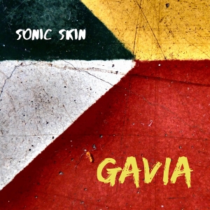 Sonic Skin - Gavia i gruppen CD / Klassiskt hos Bengans Skivbutik AB (5515311)