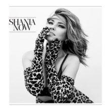 Shania Twain - Now i gruppen CD / Country hos Bengans Skivbutik AB (5515388)