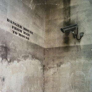 Danger Mouse - From Man To Mouse (Bansky Sleeve) in the group OTHER / MK Test 9 LP at Bengans Skivbutik AB (5515682)