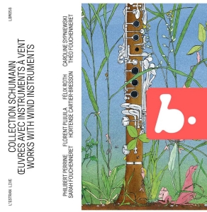 Schumann Robert - Schumann Collection - Works With Wi i gruppen CD / Klassiskt hos Bengans Skivbutik AB (5515720)