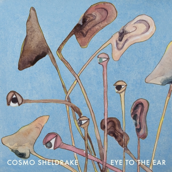 Cosmo Sheldrake - Eye To The Ear i gruppen VINYL / Toppsäljare hos Bengans Skivbutik AB (5516449)