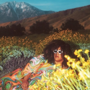 Brittany Howard - What Now i gruppen VINYL / Pop-Rock hos Bengans Skivbutik AB (5516666)