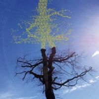 Laetitia Sadier - Rooting For Love i gruppen VI TIPSAR / Fredagsreleaser / Fredag Den 23:e Februari 2024 hos Bengans Skivbutik AB (5516775)