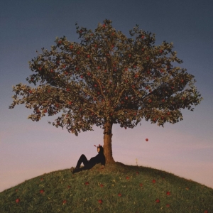 Slowthai - Tyron i gruppen VI TIPSAR / Bengans Personal Tipsar / Elis Tipsar Hip-Hop & lite annat hos Bengans Skivbutik AB (5516880)