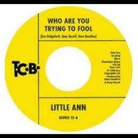 Little Ann - Who Are You Trying To Fool / The Sm i gruppen VI TIPSAR / Fredagsreleaser / Fredag Den 23:e Februari 2024 hos Bengans Skivbutik AB (5516904)