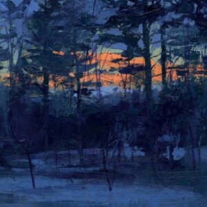 Animal Hospital - Shelf Life i gruppen ÖVRIGT / Övrigt / aub hos Bengans Skivbutik AB (5516997)