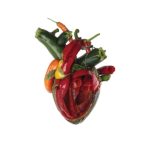 Carcass - Torn Arteries i gruppen ÖVRIGT / Övrigt / aub hos Bengans Skivbutik AB (5517020)