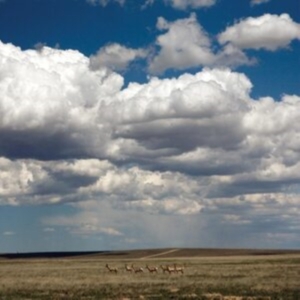 Fruit Bats - Tripper (Deluxe Reissue, White Viny i gruppen VINYL / Pop-Rock hos Bengans Skivbutik AB (5517054)