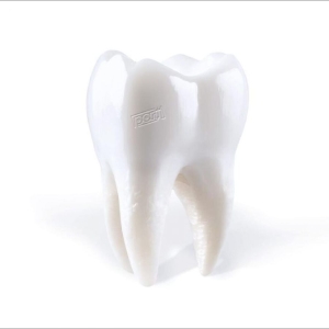 Porij - Teething i gruppen ÖVRIGT / Kommande produkter - 10 procent hos Bengans Skivbutik AB (5517472)