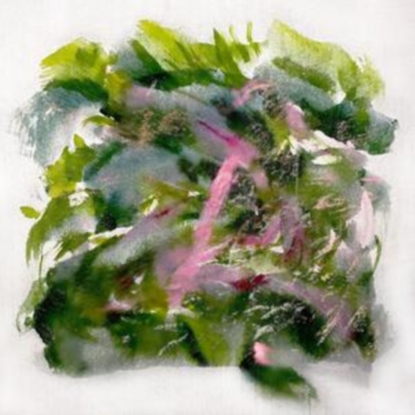 Mizu - Forest Scenes (Color-In-Color Light i gruppen VINYL / Pop-Rock hos Bengans Skivbutik AB (5517713)