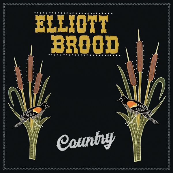 Elliott Brood - Country i gruppen CD / Pop-Rock hos Bengans Skivbutik AB (5517747)