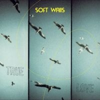 Soft Walls - True Love i gruppen VI TIPSAR / Fredagsreleaser / Fredag Den 1:a Mars 2024 hos Bengans Skivbutik AB (5517800)