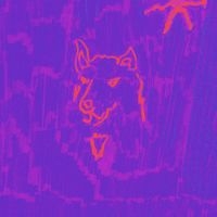 Dehd - Poetry i gruppen ÖVRIGT / Kommande produkter - 10 procent hos Bengans Skivbutik AB (5518016)