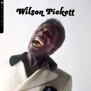 Wilson Pickett - Now Playing i gruppen VINYL / RnB-Soul hos Bengans Skivbutik AB (5518546)