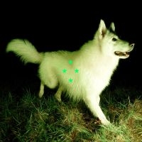 Real Farmer - Compare What's There (Fluorescent G i gruppen VI TIPSAR / Fredagsreleaser / Fredag den 8:e Mars 2024 hos Bengans Skivbutik AB (5518635)