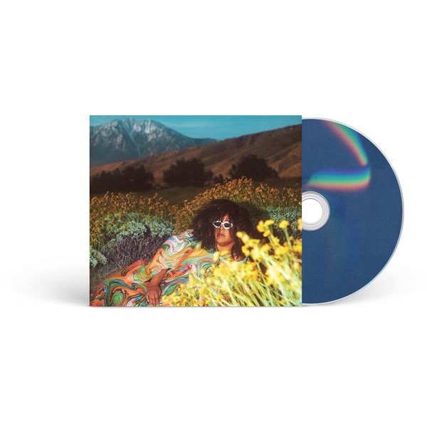 Brittany Howard - What Now i gruppen CD / Pop-Rock hos Bengans Skivbutik AB (5518652)