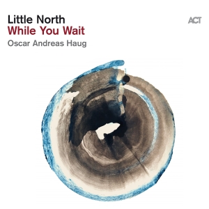 Little North - While You Wait i gruppen VI TIPSAR / Startsida - Vinyl Nyheter & Kommande hos Bengans Skivbutik AB (5519542)