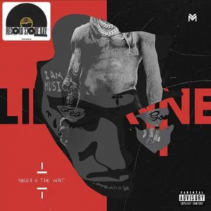 Lil Wayne - Sorry 4 The Wait (Rsd Vinyl) i gruppen VINYL / Hip Hop-Rap hos Bengans Skivbutik AB (5519880)