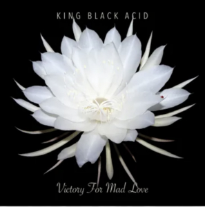 King Black Acid - Victory For Mad Love (Rsd) - IMPORT in the group OUR PICKS / Record Store Day /  at Bengans Skivbutik AB (5520067)