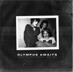 Malfunkshun - Olympus Awaits (Neon Purple Vinyl/2Lp) (Rsd) - IMPORT in the group OUR PICKS / Record Store Day /  at Bengans Skivbutik AB (5520073)