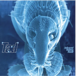 Tad - Infrared Riding Hood (Limited Aqua Vinyl) (Rsd) - IMPORT in the group OUR PICKS / Record Store Day /  at Bengans Skivbutik AB (5520122)