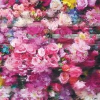 Bersarin Quartett - Systeme i gruppen ÖVRIGT / Kommande produkter - 10 procent hos Bengans Skivbutik AB (5520616)