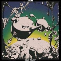 Melts - Field Theory i gruppen ÖVRIGT / Kommande produkter - 10 procent hos Bengans Skivbutik AB (5521492)