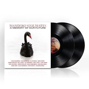 Mandoki Soulmates - A Memory Of Our Future i gruppen VINYL / Pop-Rock hos Bengans Skivbutik AB (5521898)
