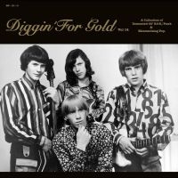 Various Artists - Diggin' For Gold Vol. 14 i gruppen VI TIPSAR / Fredagsreleaser / Fredag den 10:e Maj 2024 hos Bengans Skivbutik AB (5522114)