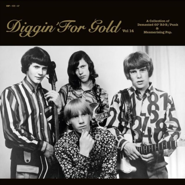 Various Artists - Diggin' For Gold Vol. 14 i gruppen VINYL / Toppsäljare hos Bengans Skivbutik AB (5522114)