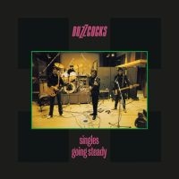 Buzzcocks - Singles Going Steady i gruppen CD / Pop-Rock hos Bengans Skivbutik AB (5522226)