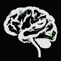 Ruins - Brain Flakes i gruppen VINYL / Pop-Rock hos Bengans Skivbutik AB (5522462)