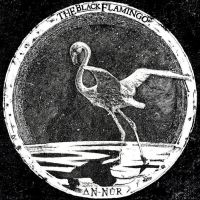 Black Flamingo The - An?-?N?Û?R i gruppen VI TIPSAR / Startsida - Vinyl Nyheter & Kommande hos Bengans Skivbutik AB (5522468)