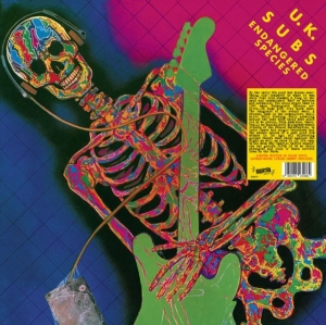 U.K. Subs - Endangered Species (Pink Vinyl Lp) i gruppen VINYL / Pop-Rock hos Bengans Skivbutik AB (5522486)