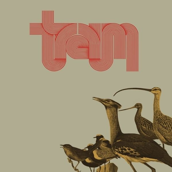 Traum - Traum i gruppen VINYL / Pop-Rock hos Bengans Skivbutik AB (5522493)
