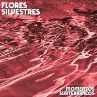 Flores Silvestres - Momentos Subterráneos i gruppen VINYL / Pop-Rock hos Bengans Skivbutik AB (5522585)
