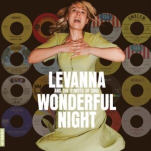 Various Artists - Wonderful Night Curated By Levanna i gruppen VI TIPSAR / Startsida - CD Nyheter & Kommande hos Bengans Skivbutik AB (5523369)