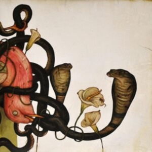 Rival Sons - Head Down i gruppen CD / Pop-Rock hos Bengans Skivbutik AB (5524108)