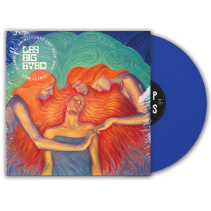 Les Big Byrd - Diamonds, Rhinestones And Hard Rain (Blue Vinyl) i gruppen VINYL / Pop-Rock,Svensk Musik hos Bengans Skivbutik AB (5524642)