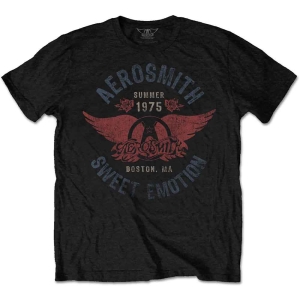 Aerosmith - Sweet Emotion Uni Bl    i gruppen MERCHANDISE / T-shirt / Hårdrock hos Bengans Skivbutik AB (5525785r)