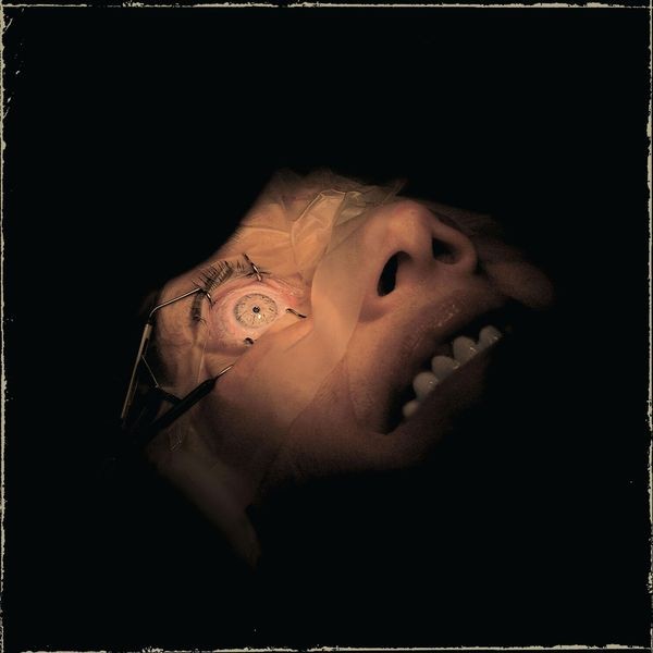 Exhumed - Anatomy Is Destiny i gruppen VINYL / Hårdrock hos Bengans Skivbutik AB (5525859)