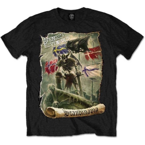 Avenged Sevenfold - Scandinavia Uni Bl i gruppen MERCHANDISE / T-shirt / Hårdrock hos Bengans Skivbutik AB (5526495r)