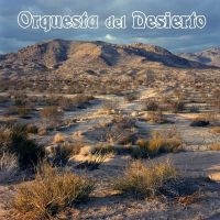 Orquesta Del Desierto - Orquesta Del Desierto i gruppen VINYL / Kommande / Pop-Rock hos Bengans Skivbutik AB (5535794)