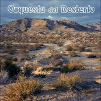 Orquesta Del Desierto - Orquesta Del Desierto i gruppen VINYL / Kommande / Pop-Rock hos Bengans Skivbutik AB (5535797)