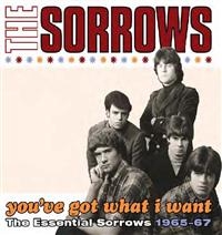 Sorrows - You've Got What I Want i gruppen CD / Pop-Rock hos Bengans Skivbutik AB (553716)