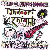 Tandoori Knights - 14 Hits That Don't Quit i gruppen VI TIPSAR / Startsida - Vinyl Nyheter & Kommande hos Bengans Skivbutik AB (5538856)